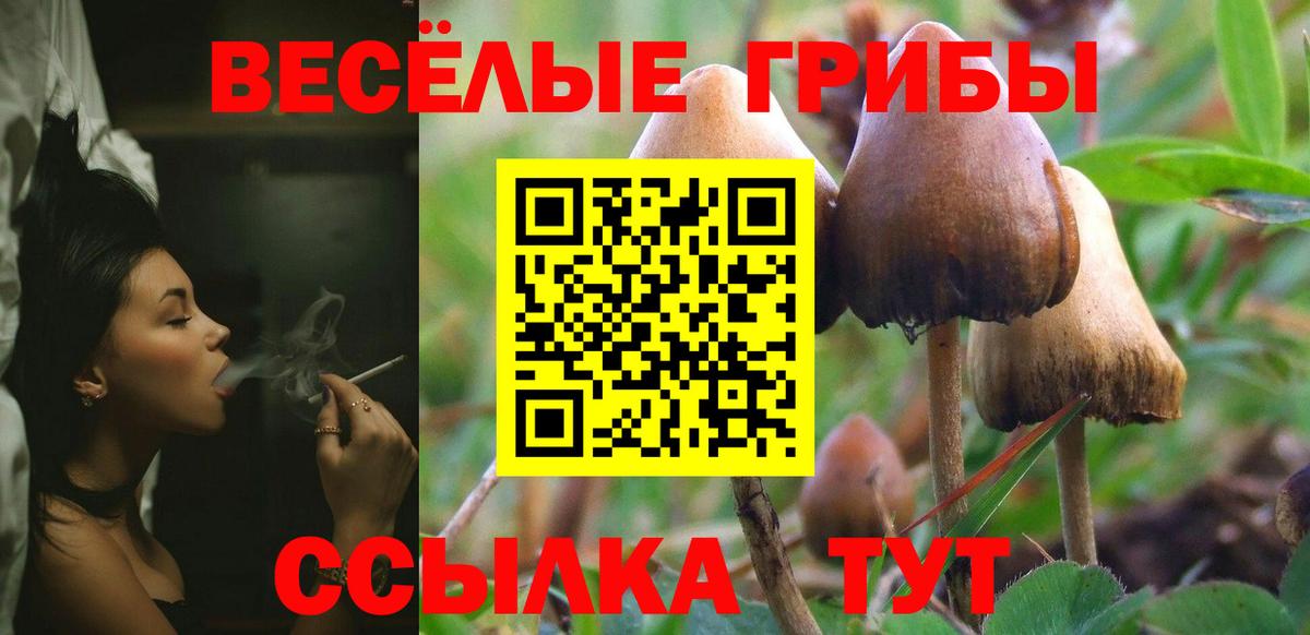 Прокопьевск  Галлюциногенные грибы мицелий  купить наркоту  Вход с VPN  Галлюциногенные грибы Magic Shrooms 