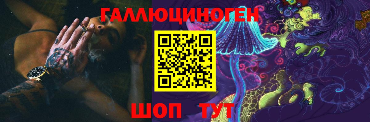 Галлюциногенные грибы Psilocybe Прокопьевск
